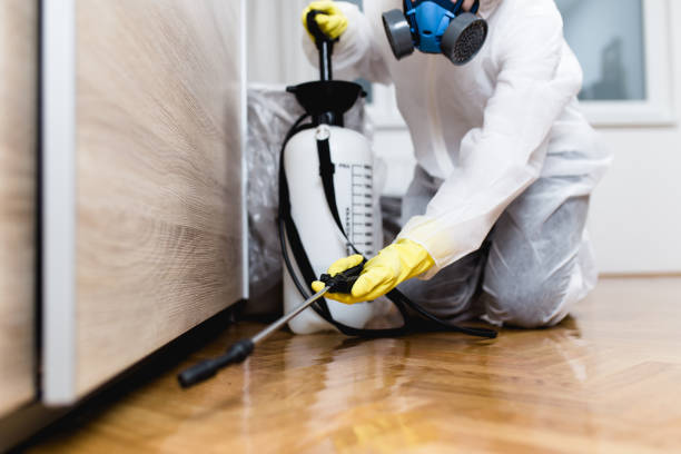 Best Best Pest Control Companies  in Clark, SD