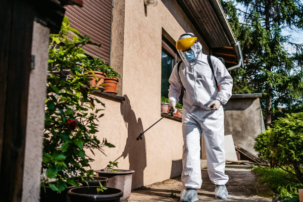 Best Cockroach Control Services  in Clark, SD