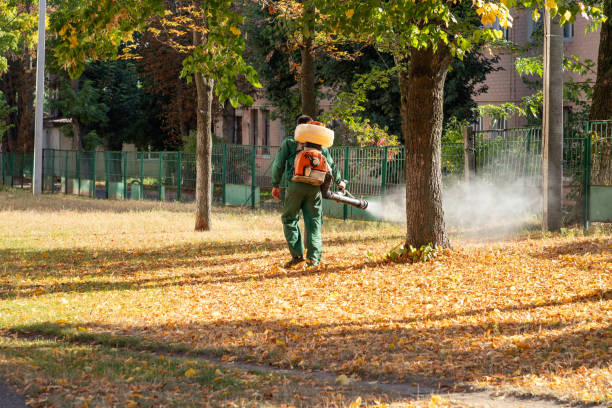 Best Affordable Pest Control Services  in Clark, SD